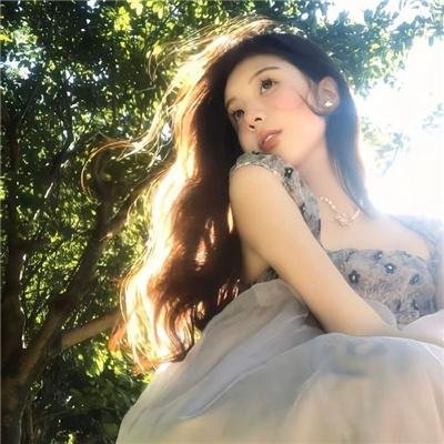 副总统